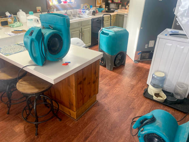 Best Basement water damage restoration  in Davidson, NC