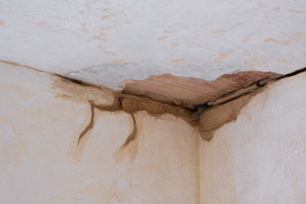 Best Flood restoration services  in Davidson, NC